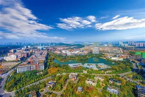 中科招商領(lǐng)銜久久益之星等3機(jī)構(gòu)參與盛齊安定增，打造中國(guó)腫瘤治療通信技術(shù)開(kāi)發(fā)獨(dú)角獸