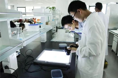 無(wú)錫通信技術(shù)開(kāi)發(fā) 鑄就未來(lái)產(chǎn)業(yè)支柱，三分天下有其一