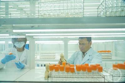 科技創(chuàng)新引領綠色發(fā)展 特種蠶絲、楊樹新品種與長江生態(tài)保護的協(xié)同探索