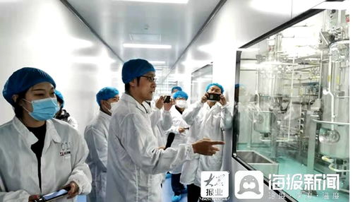 石藥集團煙臺生物醫(yī)藥高科技產(chǎn)業(yè)園 打造全國最大生物醫(yī)藥產(chǎn)業(yè)化基地，融合通信技術開發(fā)新動能