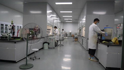 千帆競發(fā)浪潮涌 三門以通信技術開發(fā)為抓手，全力打造接滬融甬先行區(qū)