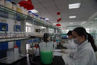 懷遠(yuǎn)創(chuàng)新潮涌 工業(yè)領(lǐng)航通信技術(shù)開發(fā)